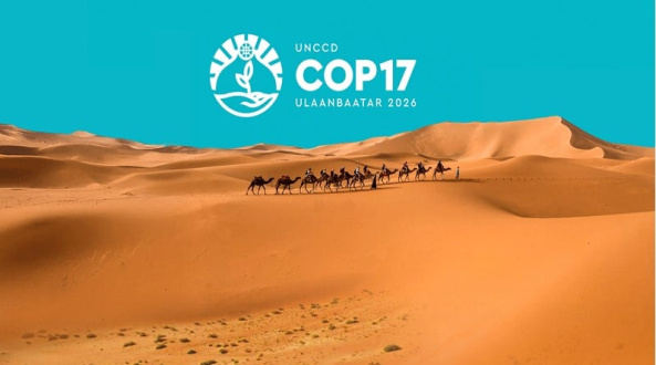 COP 17: Монгол Улс эрчим хүчний шилжилтийн стратегиа танилцуулна